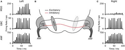 Extraction of Inter-Aural Time Differences Using a Spiking Neuron Network Model of the Medial Superior Olive